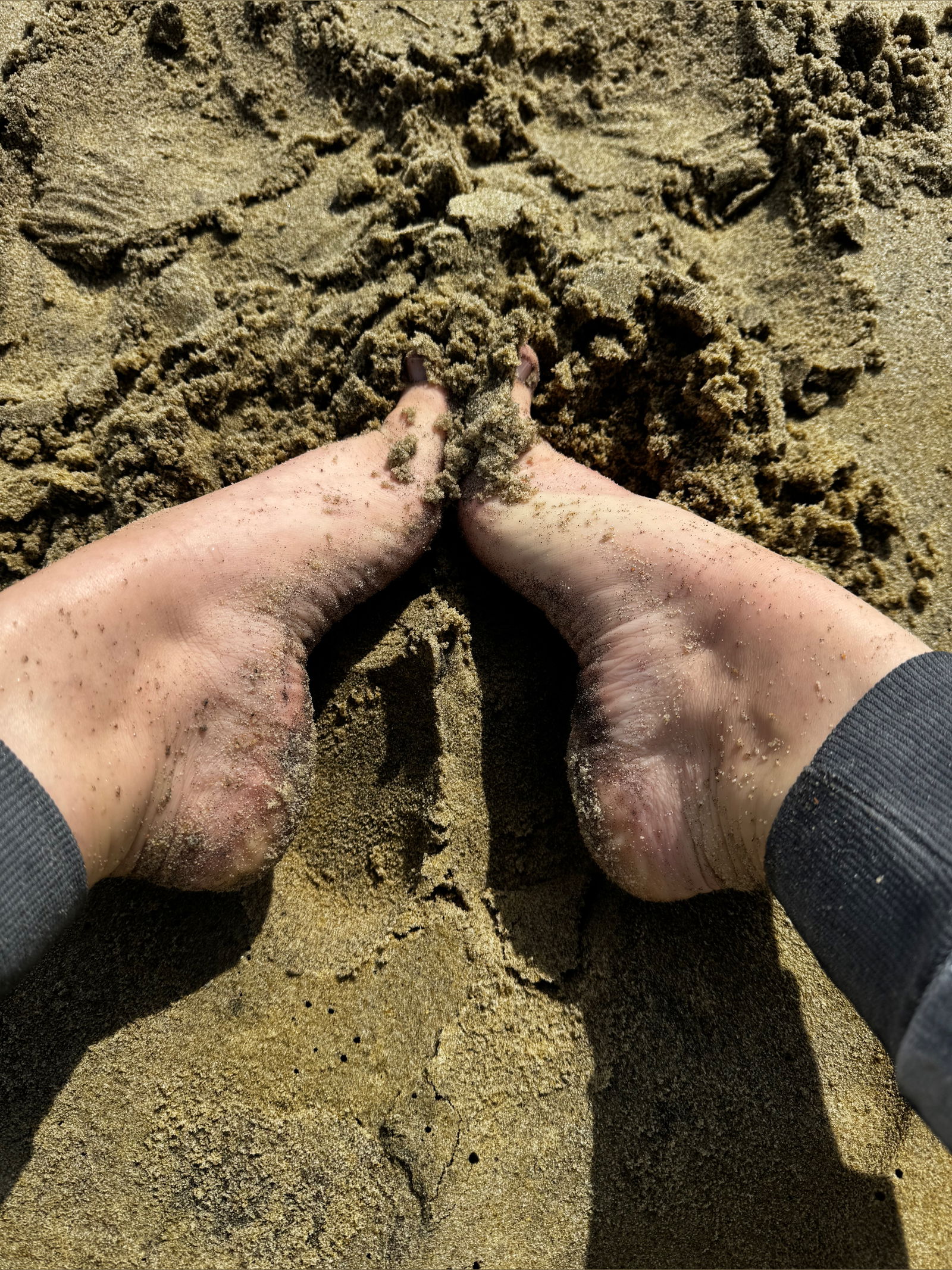 SincerelySocks photo