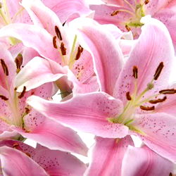 Jade Marie🌻 photo