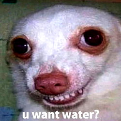 Meme with Your Fav, a Cat-like Creature