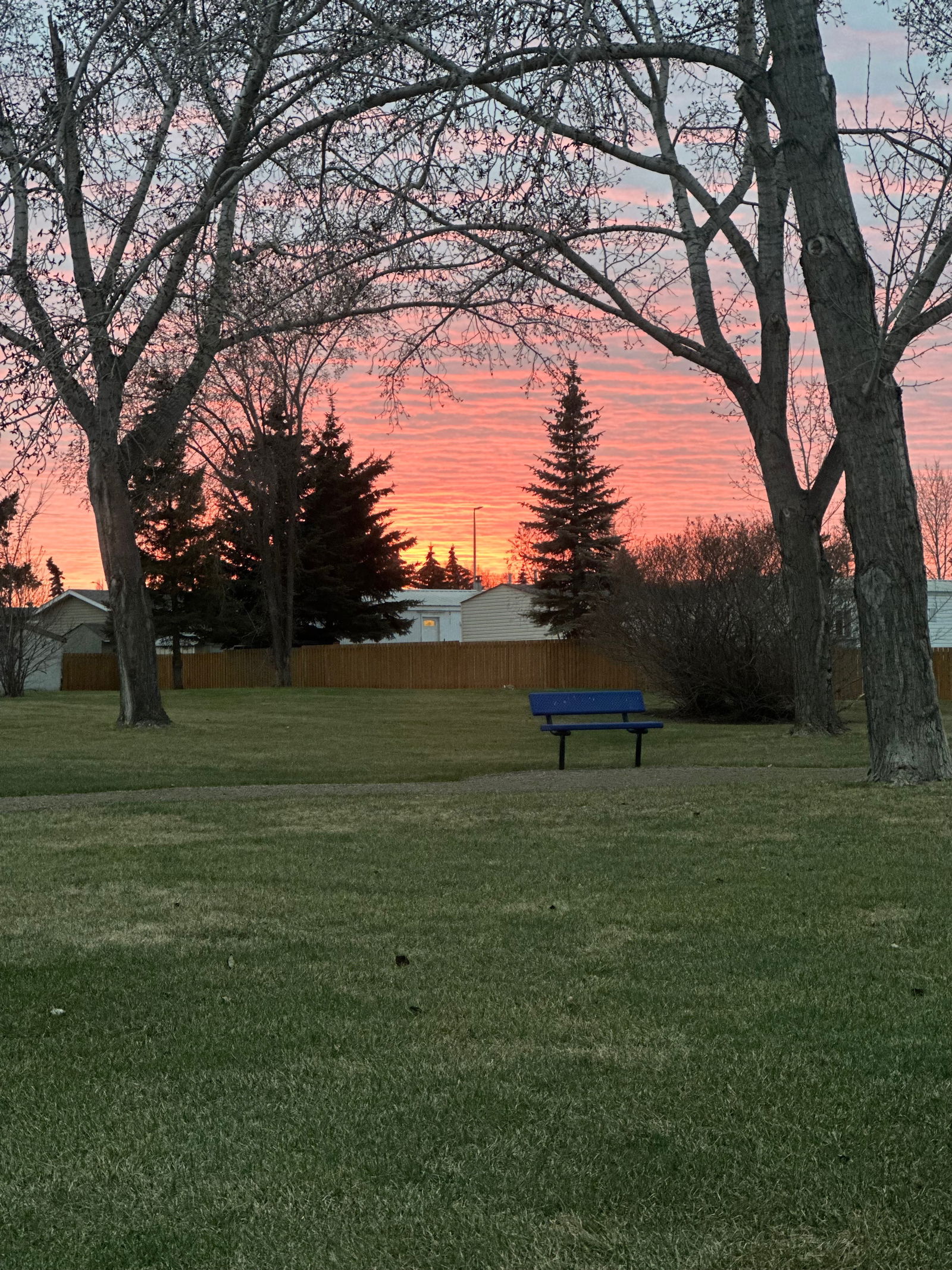 Baylee rose free 😈💜 photo