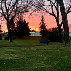 Baylee rose free 😈💜 photo