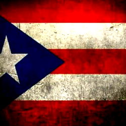 Junior🇵🇷 photo