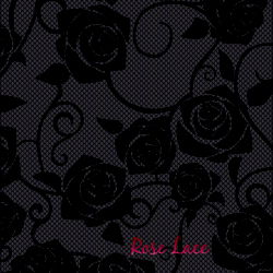 Black and White Rose Patterned Model Portfolio