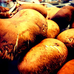 franlis torres photo