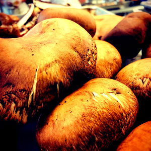 franlis torres photo