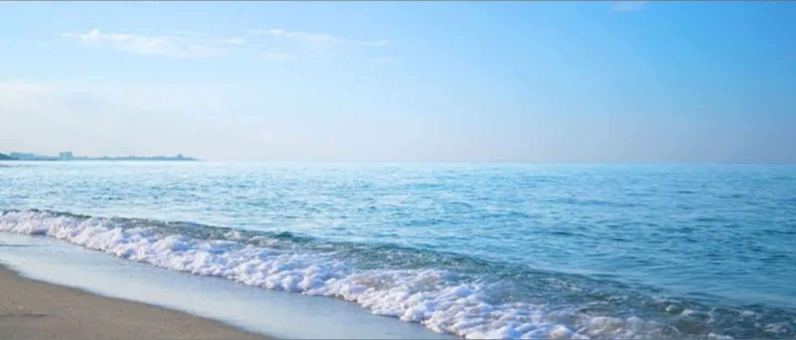 IFBB PRO Natalie. photo