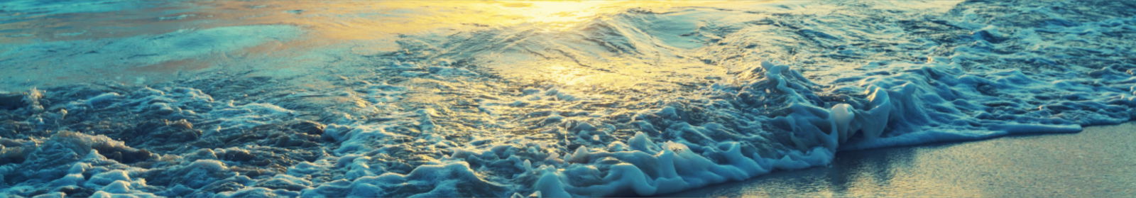 IFBB PRO Natalie. photo