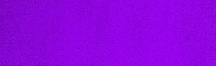 Leonardo Purrista photo