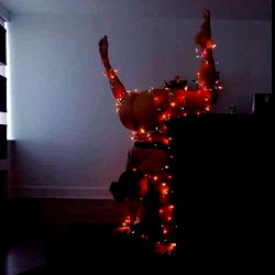 Sensational Cakeahontass Christmas Decoration