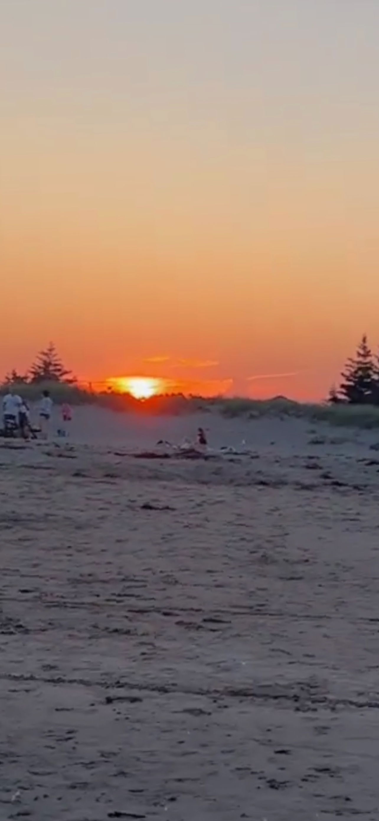 Alexx Gem 💎 photo