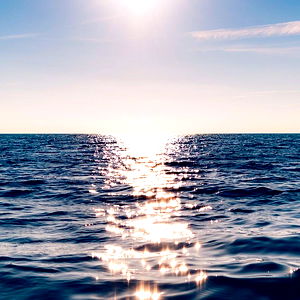 Red Rabbit ๐ฅ photo