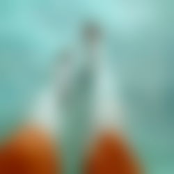 Preciously-beautiful photo