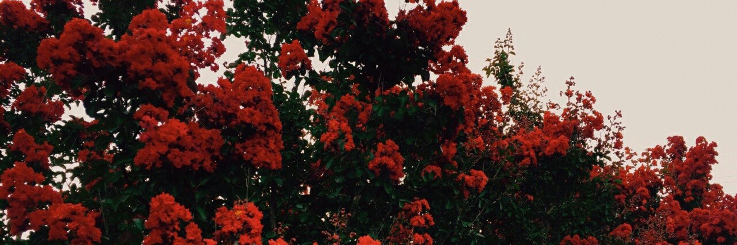 s t e (ri)p h 🌹 photo