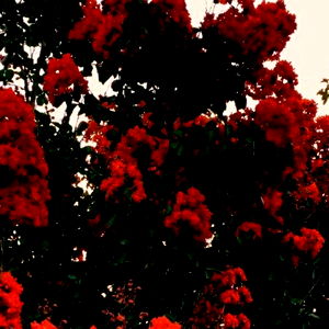 s t e (ri)p h ๐น photo