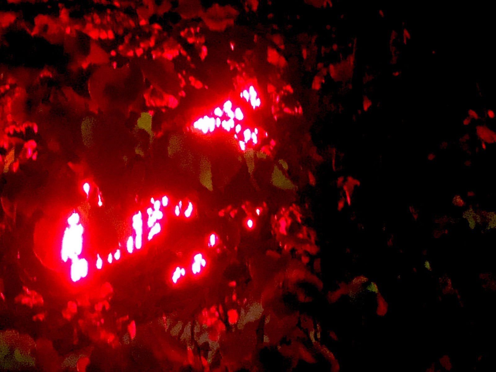 aloverfrommarz photo