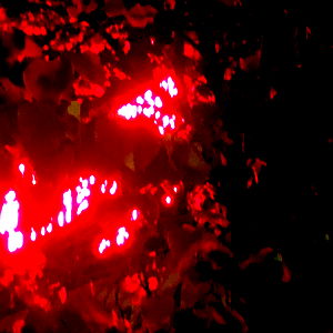 aloverfrommarz photo