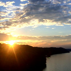 Daisy 💖💖 photo