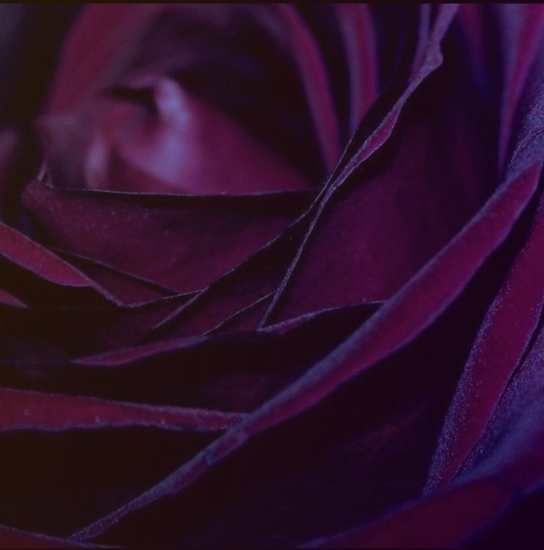 Lillith Morbid photo