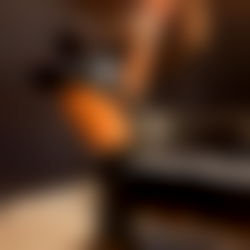 Fiona Wildlesson photo