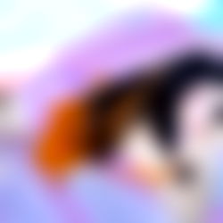 โฉ๏ธ แดแดแดสษช แดแดสษชสแด photo