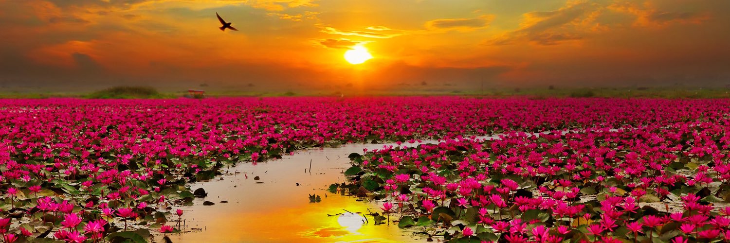 -:¦:- Selena -:¦:- photo