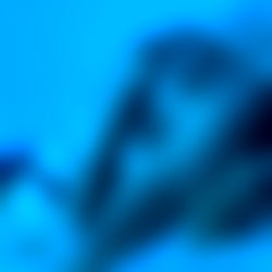 KINKY MISTRESS ALMIE WHITE photo