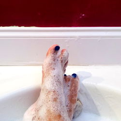 BDECreoleQueen photo