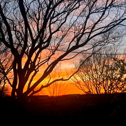 A Beautiful Sunset in a Park