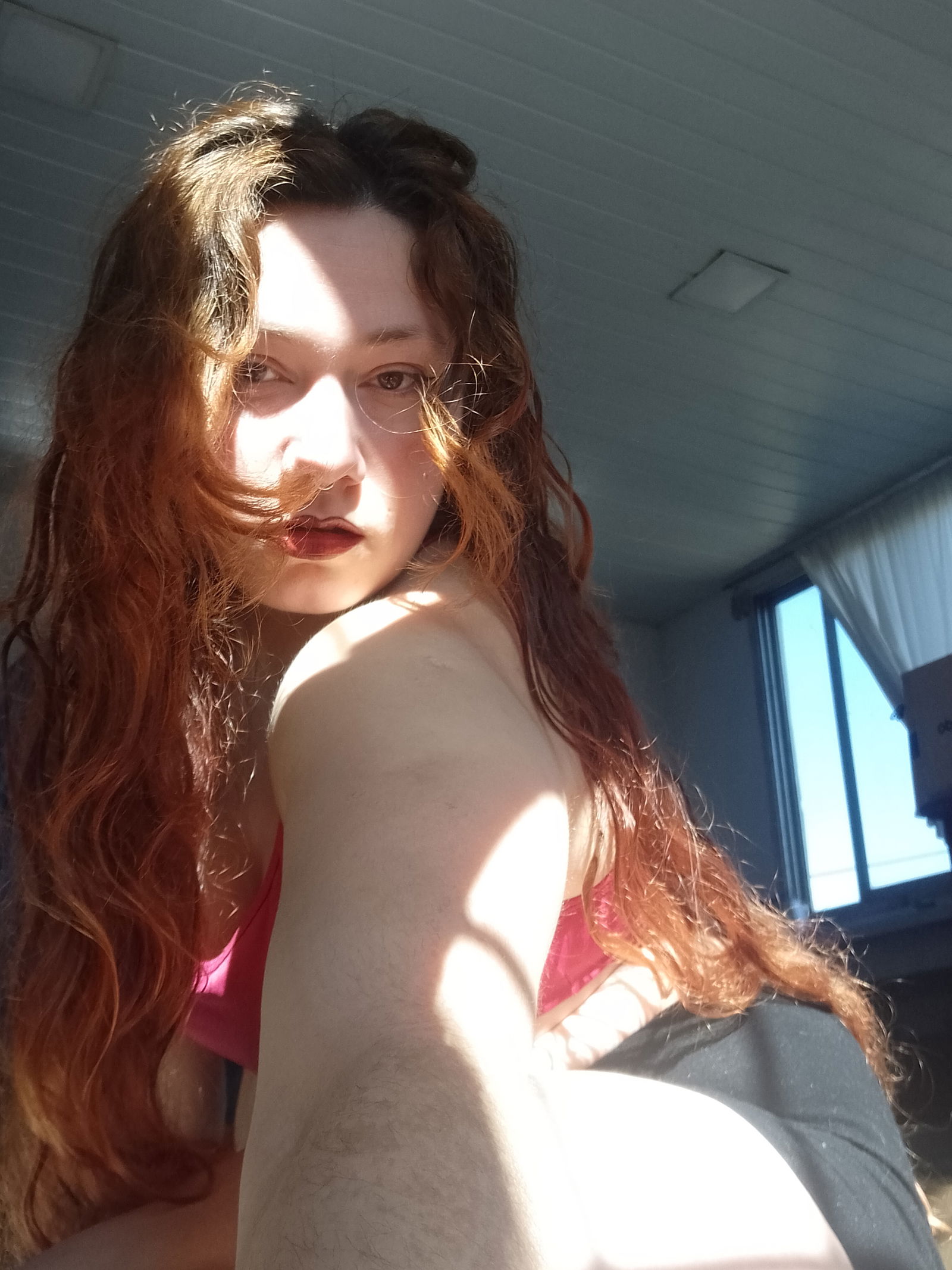 Ｒｕｂｙ  ｉｎ  Ｒｏｓｅ photo