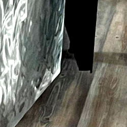 DOMIADDICT 🔞 photo