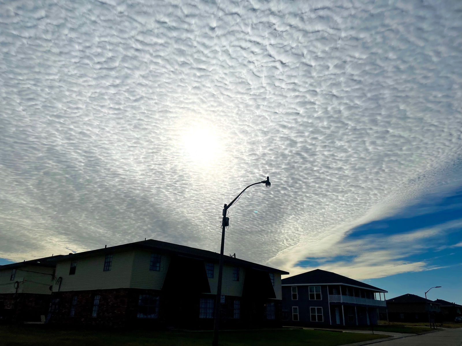 Patient 666158 photo