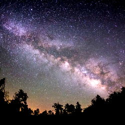 good girl Lilith😽 photo