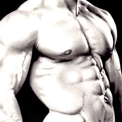 Ultimate Models Fitness Cover Model - Muscular Male Physique