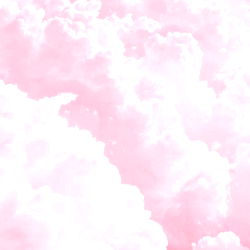 Sweetlittlefox photo