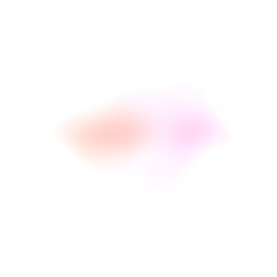 Natalie Page ๐ photo