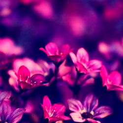 Natalie Page 💋 photo