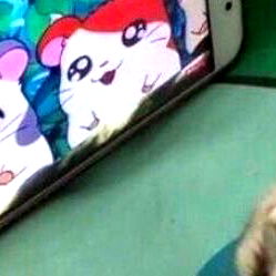 William De Souza photo