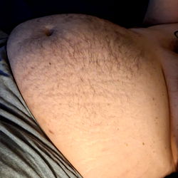 The Fabsquatch: A Bearizona Model