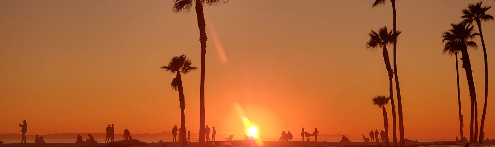 Aqua Bears Inc photo