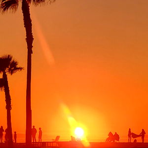 Aqua Bears Inc photo