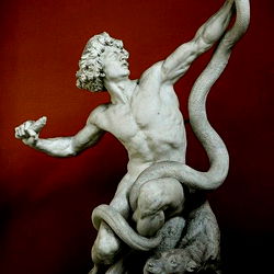 Arabian Prince photo