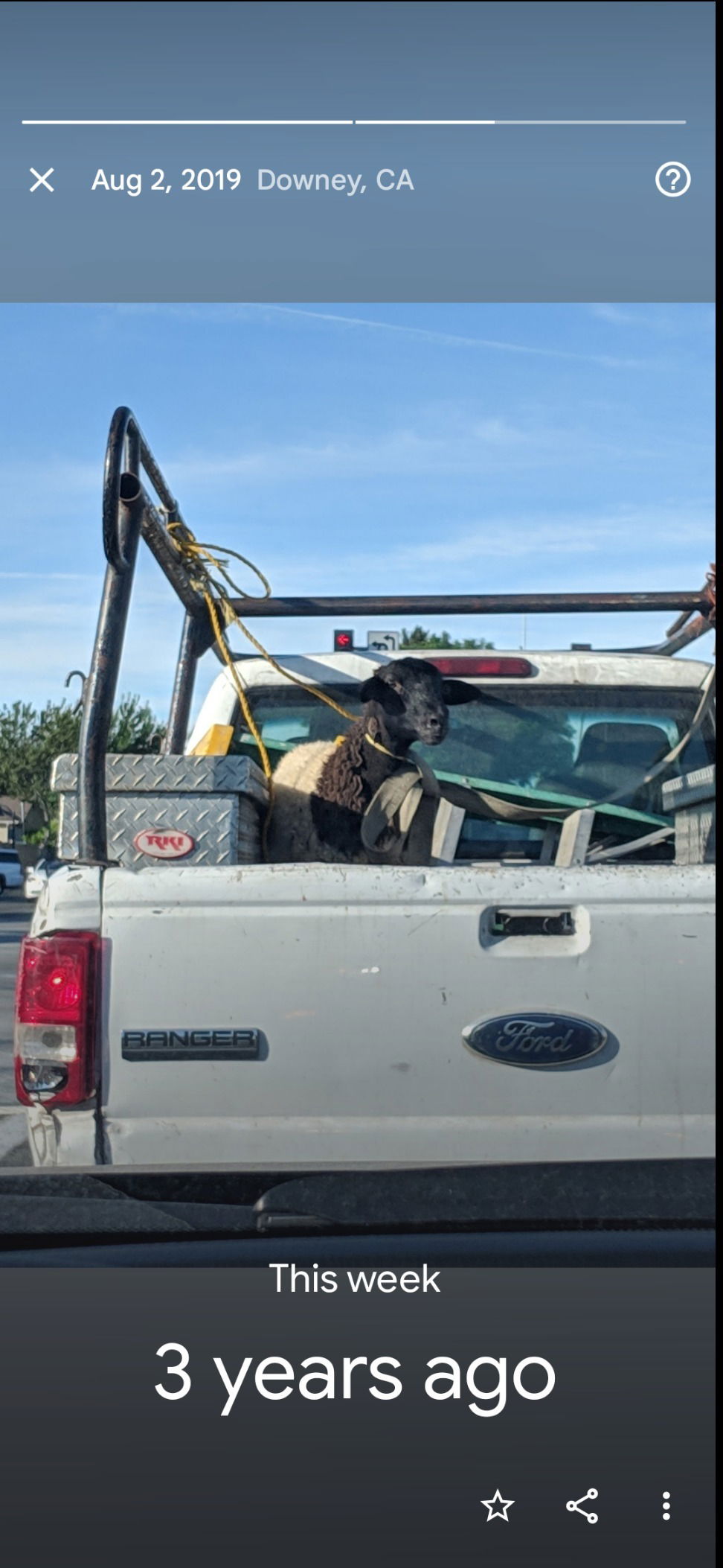 Anthony Zamudio photo