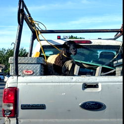 Anthony Zamudio photo