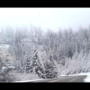 Casey-lee Pappan photo