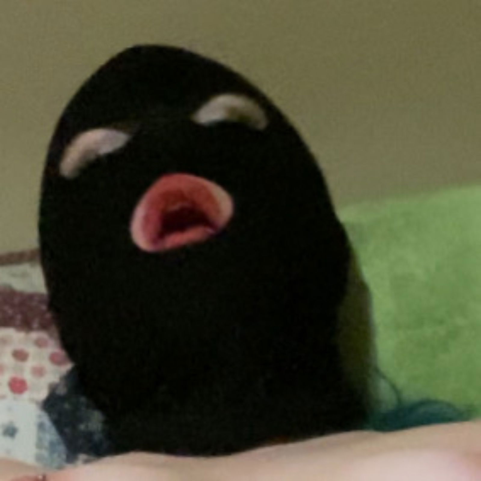 crumb/ miss ramona photo