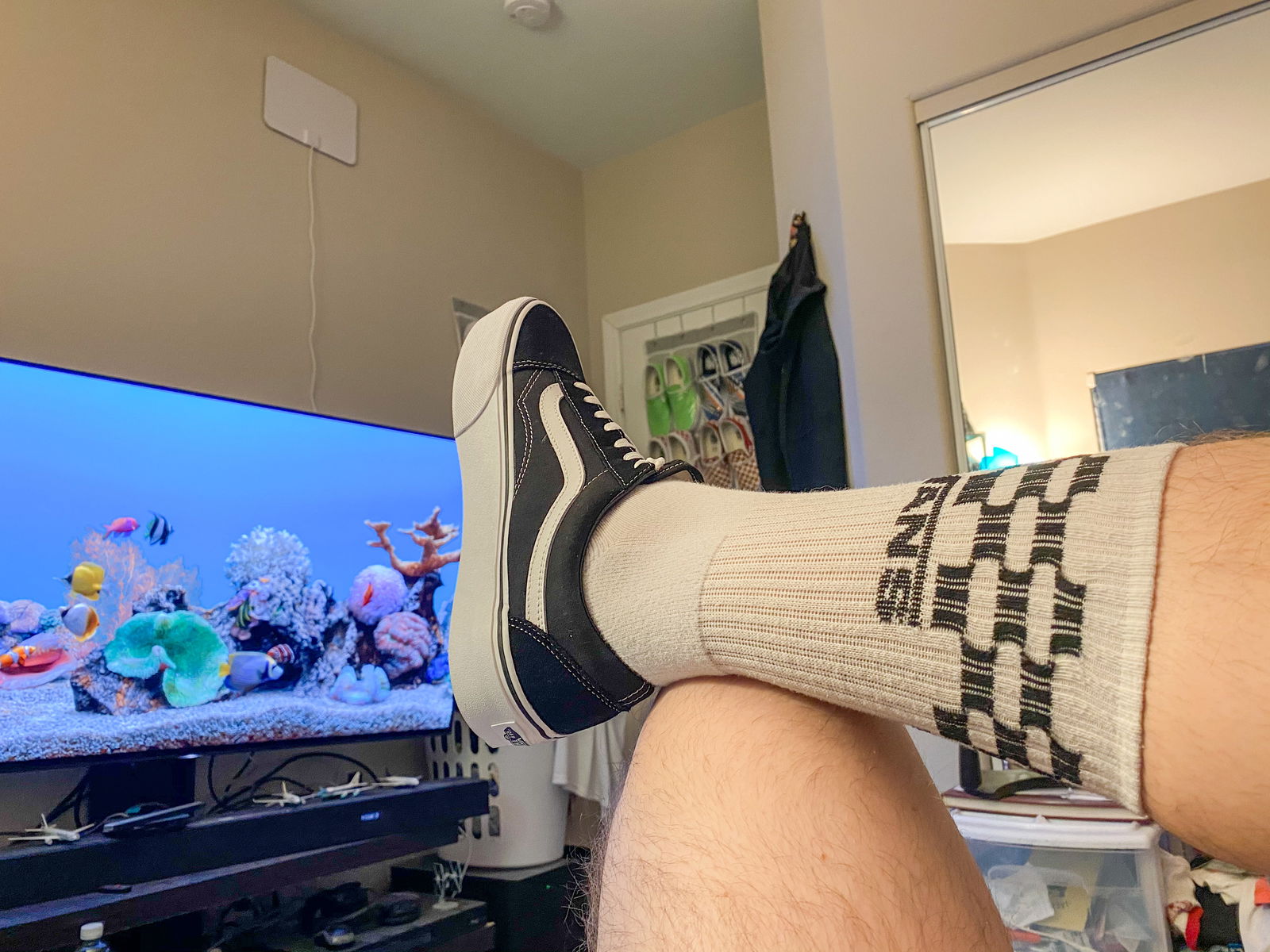 Socks Sneakers and Skates photo