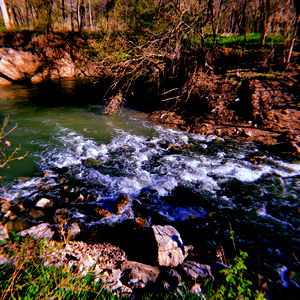 Chaos (they/he) photo