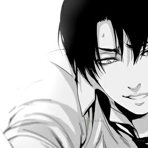 Diamond_rose_fox907 photo