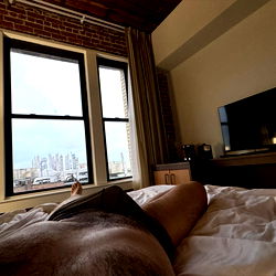 Peaceful Evening View from Bedroom Window