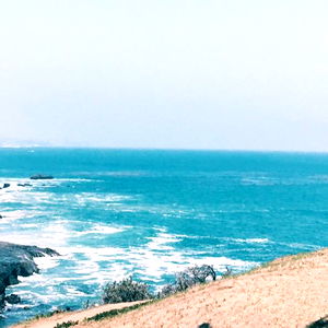 Courtney Miller photo